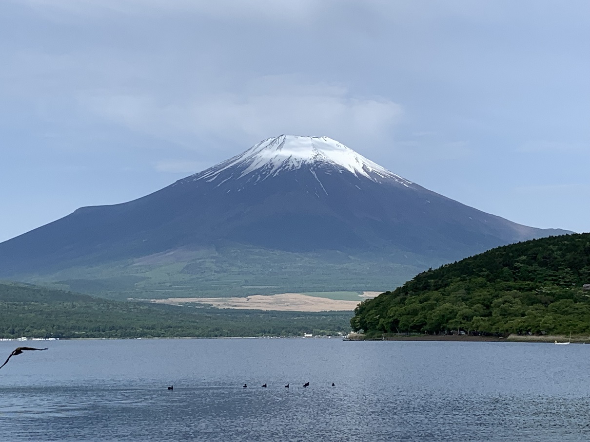 富士山