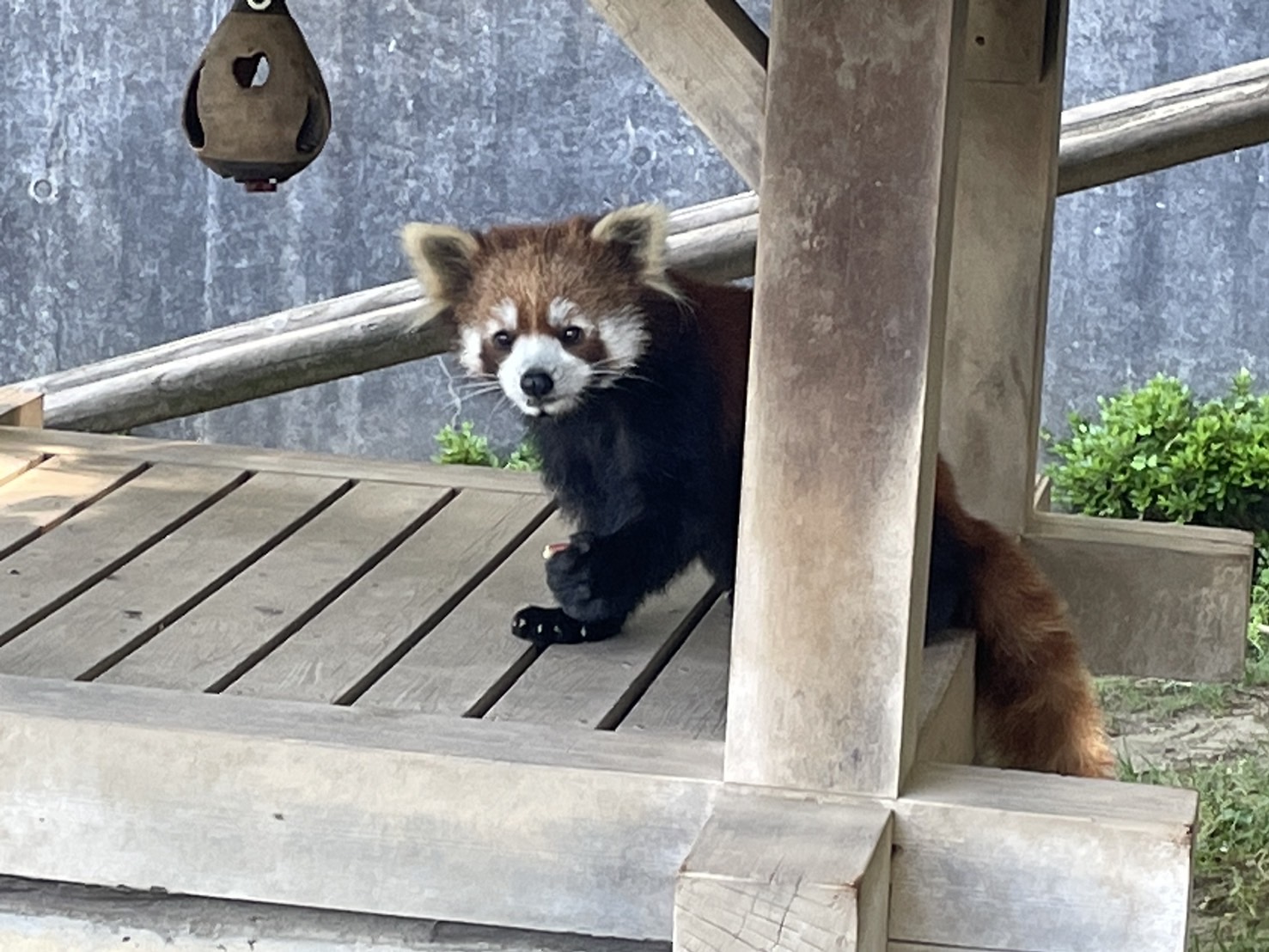 西山動物園